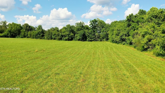 350 N Vfw Rd, Bulls Gap, TN 37711 - photo 22