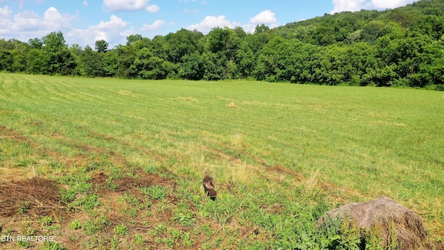 350 N Vfw Rd, Bulls Gap, TN 37711 - photo 23