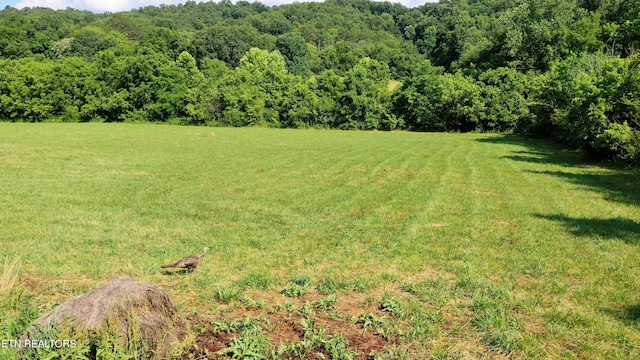 350 N Vfw Rd, Bulls Gap, TN 37711 - photo 1