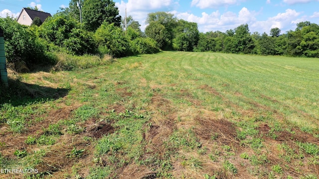 350 N Vfw Rd, Bulls Gap, TN 37711 - photo 24
