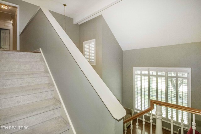 700 E Fox Den Dr, Knoxville, TN 37934