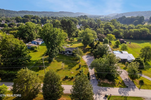 6616 Greer Rd, Knoxville, TN 37918 - photo 6