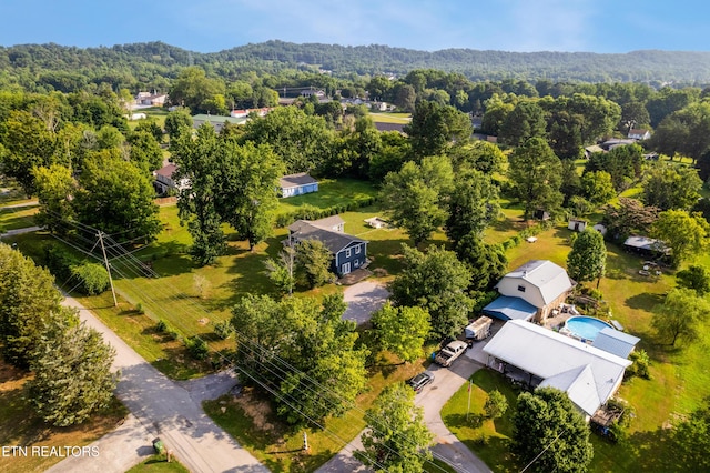 6616 Greer Rd, Knoxville, TN 37918 - photo 32