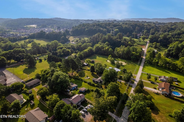 6616 Greer Rd, Knoxville, TN 37918 - photo 34