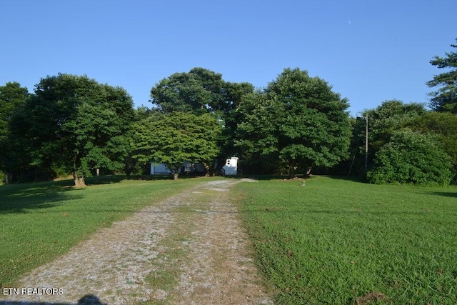 31058 US-127, Pikeville, TN 37367 - view of dirt / gravel driveway