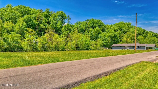 LOT2 Nancy St, Pigeon Forge, TN 37863 - photo 5