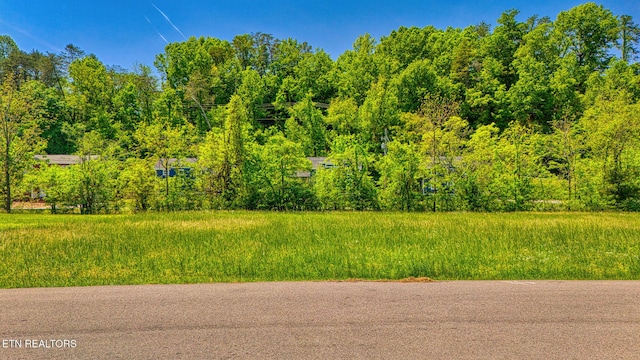 LOT2 Nancy St, Pigeon Forge, TN 37863 - photo 6
