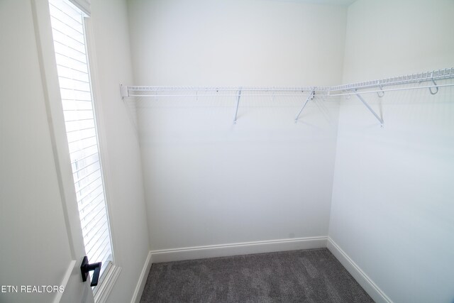 1210 Fort Craig Trl, Maryville, TN 37803 - photo 22