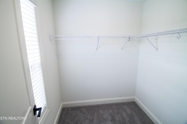 1210 Fort Craig Trl, Maryville, TN 37803 - photo 25
