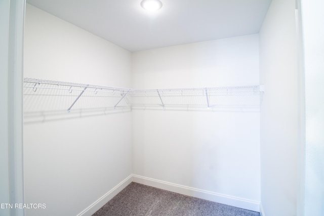 1210 Fort Craig Trl, Maryville, TN 37803 - photo 33