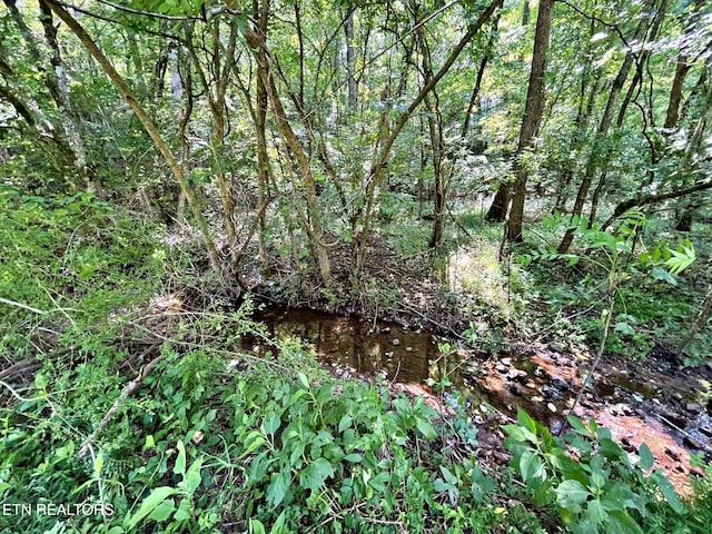 LOT7 Raby Hollow Rd, Kingston, TN 37763 - photo 6