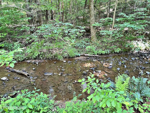 LOT7 Raby Hollow Rd, Kingston, TN 37763 - photo 4