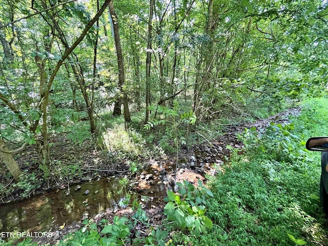 LOT7 Raby Hollow Rd, Kingston, TN 37763 - photo 8
