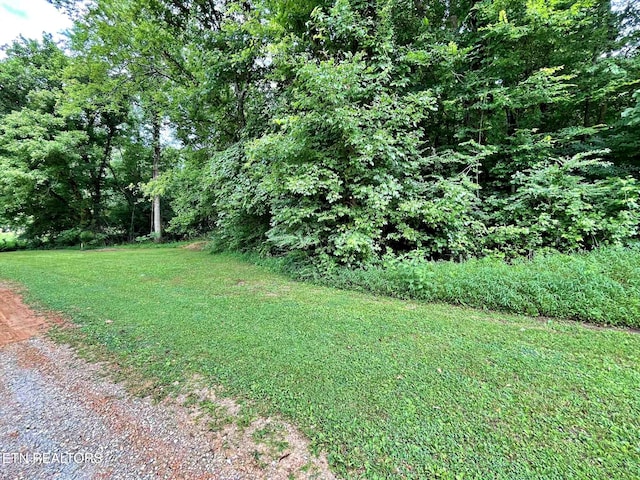 LOT7 Raby Hollow Rd, Kingston, TN 37763 - photo 9
