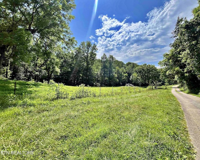 LOT7 Raby Hollow Rd, Kingston, TN 37763 - photo 10