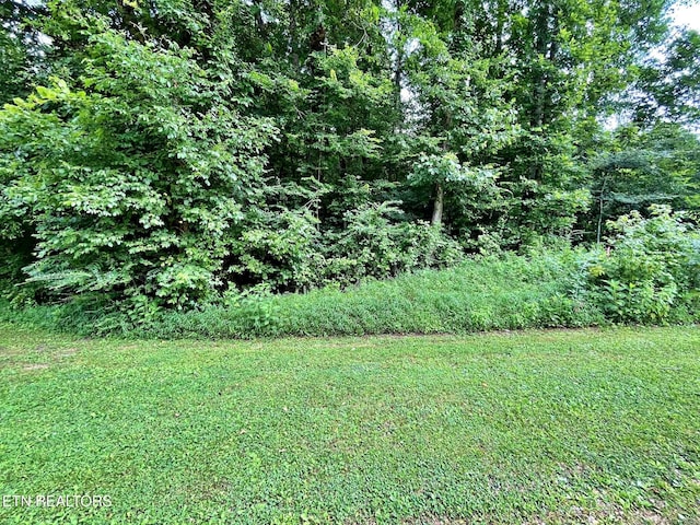 LOT7 Raby Hollow Rd, Kingston, TN 37763 - photo 3
