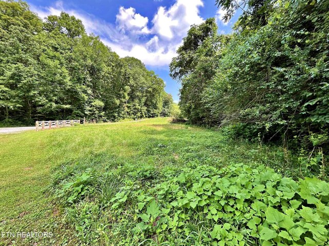 LOT7 Raby Hollow Rd, Kingston, TN 37763 - photo 2