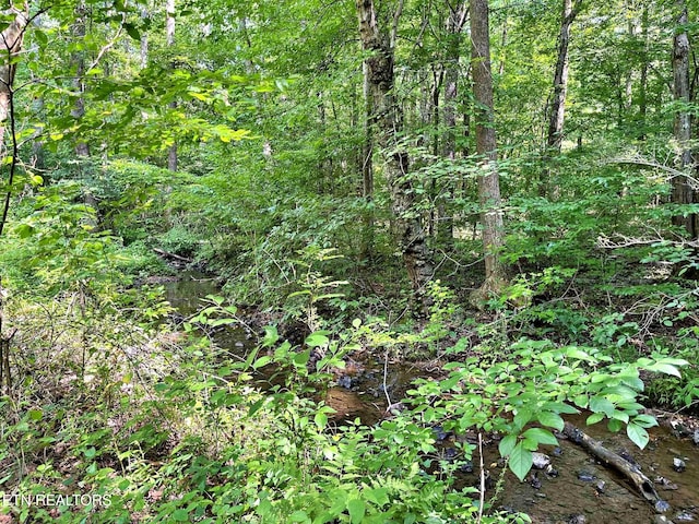 LOT7 Raby Hollow Rd, Kingston, TN 37763 - photo 5