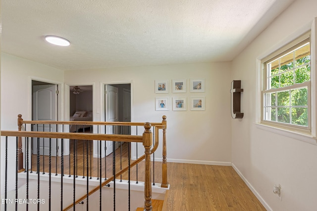 4309 Dogwen Rd, Knoxville, TN 37938 - photo 15
