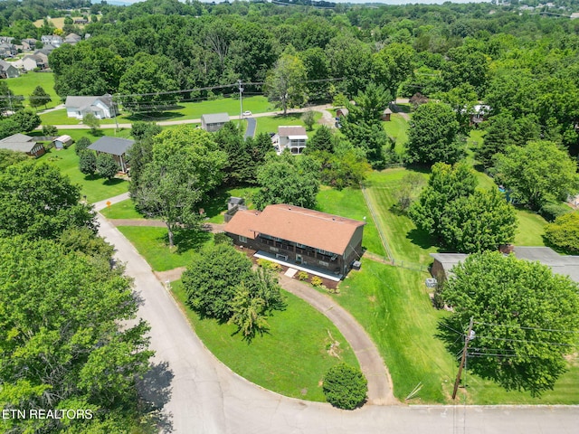 4309 Dogwen Rd, Knoxville, TN 37938 - photo 33