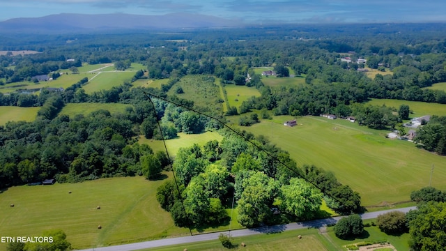 1230 Deep Draw Rd, Crossville, TN 38555 - photo 40