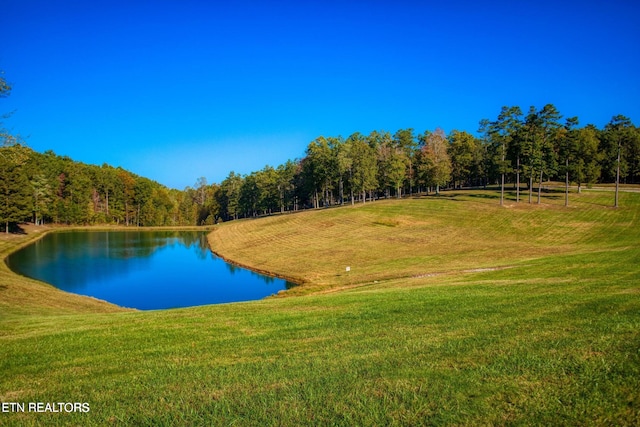 224 Eagle Blf, Jamestown, TN 38556 - surrounding community featuring a water view, a lawn, and a wooded view