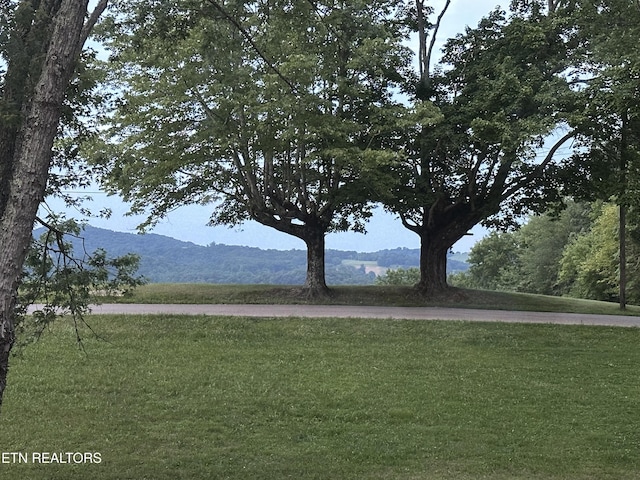 901 Kyle St, Lafollette, TN 37766 - view of green lawn with a mountain view