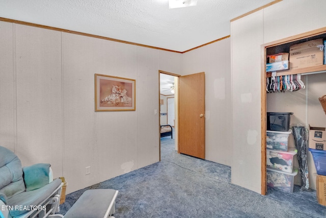 225 N Chuckey Ruritan Rd, Chuckey, TN 37641 - living area with carpet, a textured ceiling, and ornamental molding