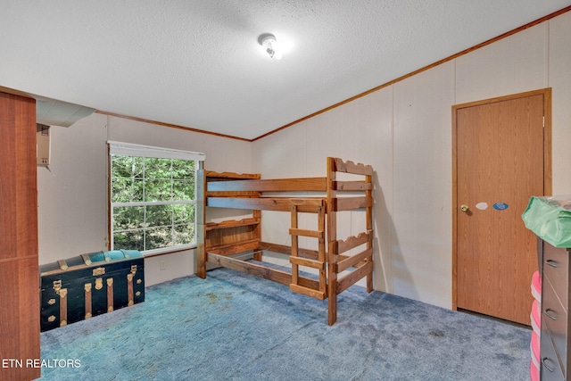 225 N Chuckey Ruritan Rd, Chuckey, TN 37641 - bedroom featuring lofted ceiling, a textured ceiling, and carpet floors