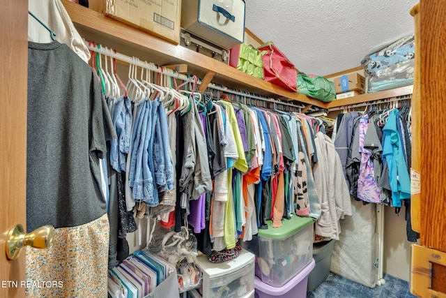 225 N Chuckey Ruritan Rd, Chuckey, TN 37641 - view of walk in closet