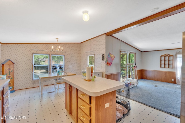 225 N Chuckey Ruritan Rd, Chuckey, TN 37641 - kitchen with light floors, crown molding, wainscoting, light countertops, and open floor plan