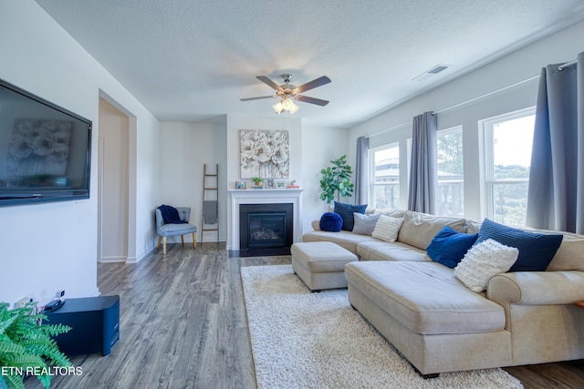 212 Ibis Loop, Oak Ridge, TN 37830 - photo 4