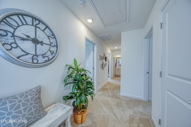 212 Ibis Loop, Oak Ridge, TN 37830 - photo 11