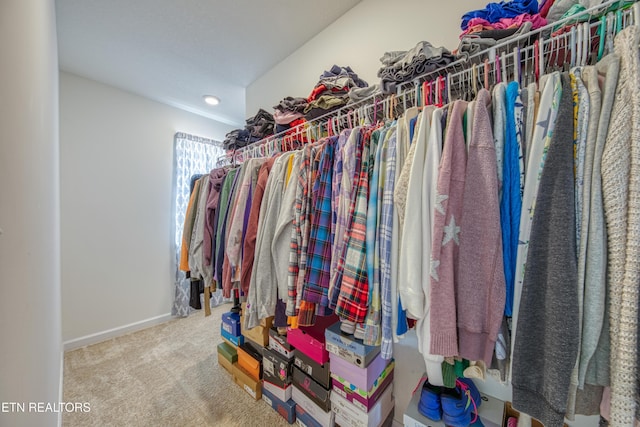 212 Ibis Loop, Oak Ridge, TN 37830 - photo 13