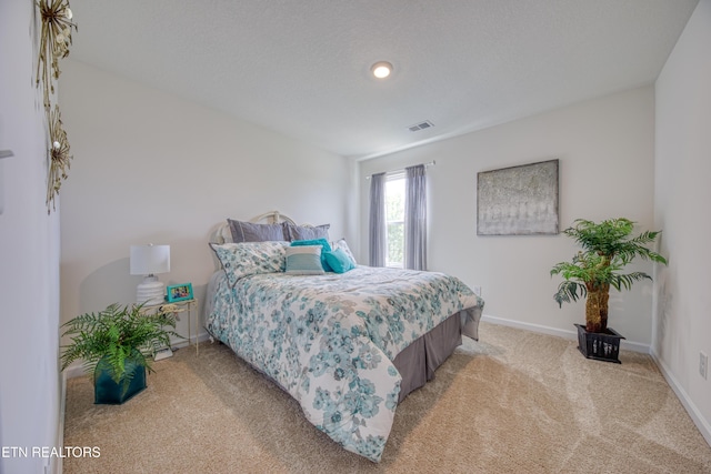 212 Ibis Loop, Oak Ridge, TN 37830 - photo 15