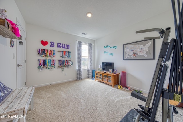 212 Ibis Loop, Oak Ridge, TN 37830 - photo 16