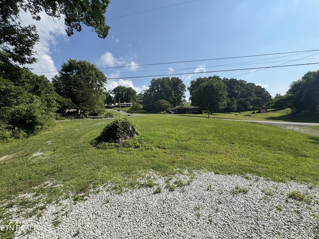 914 S 13th St, Lafollette, TN 37766 - view of grassy yard