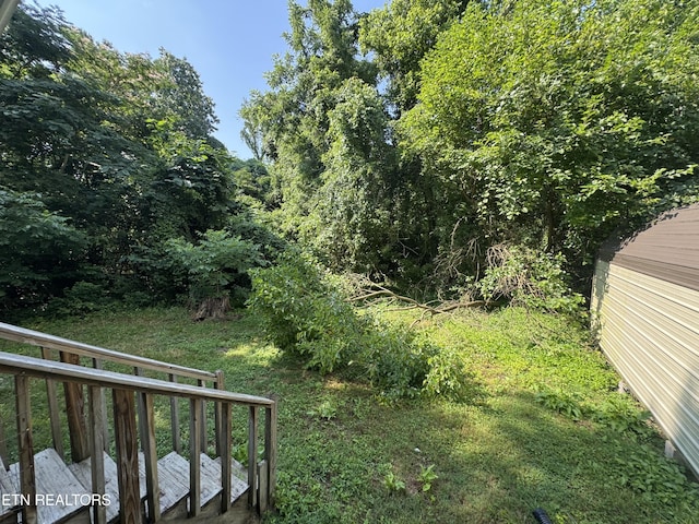 914 S 13th St, Lafollette, TN 37766 - view of yard