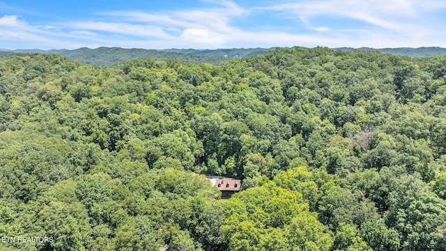 257 Lone Ridge Ln, Clinton, TN 37716 - photo 2
