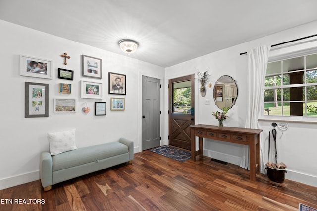 1521 Aldenwood Ln, Knoxville, TN 37919 - entryway featuring wood finished floors