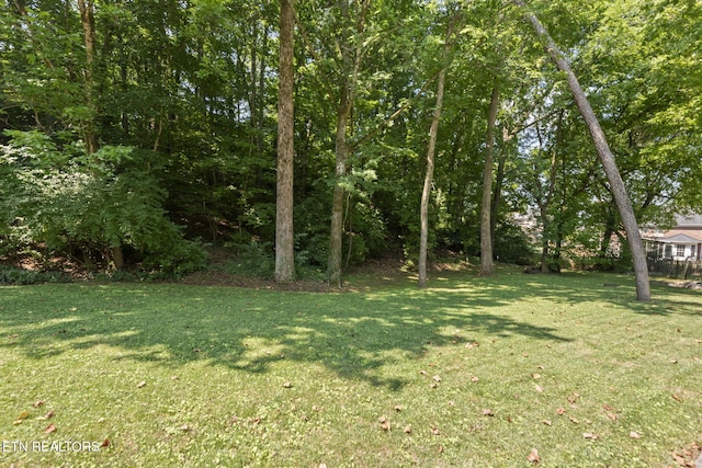 1521 Aldenwood Ln, Knoxville, TN 37919 - view of green lawn