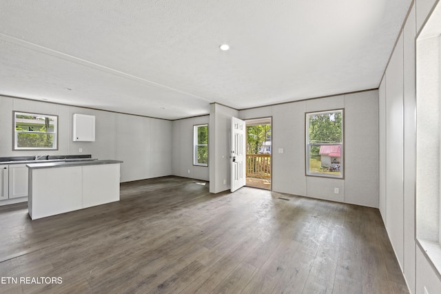 417 Cain Ave, Morristown, TN 37813 - unfurnished living room featuring dark wood-type flooring and plenty of natural light