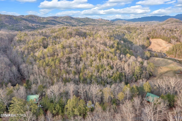 1233/1247 Secona Way, Sevierville, TN 37876 - photo 14
