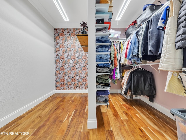5728 Hickory Valley Rd, Heiskell, TN 37754 - walk in closet featuring wood finished floors