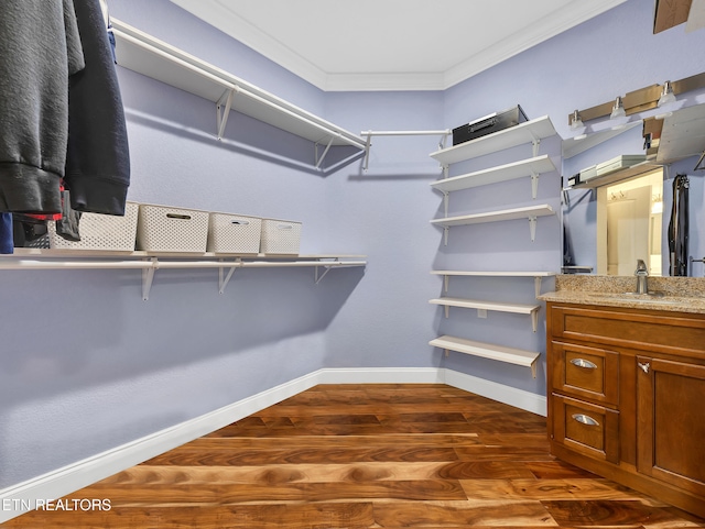 5728 Hickory Valley Rd, Heiskell, TN 37754 - spacious closet with a sink and dark wood-style flooring