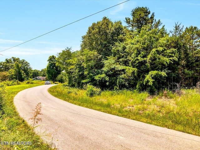 Mohawk Ridge Rd, Bulls Gap, TN 37711 - photo 3
