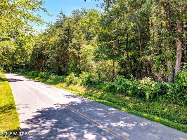 Mohawk Ridge Rd, Bulls Gap, TN 37711 - photo 4