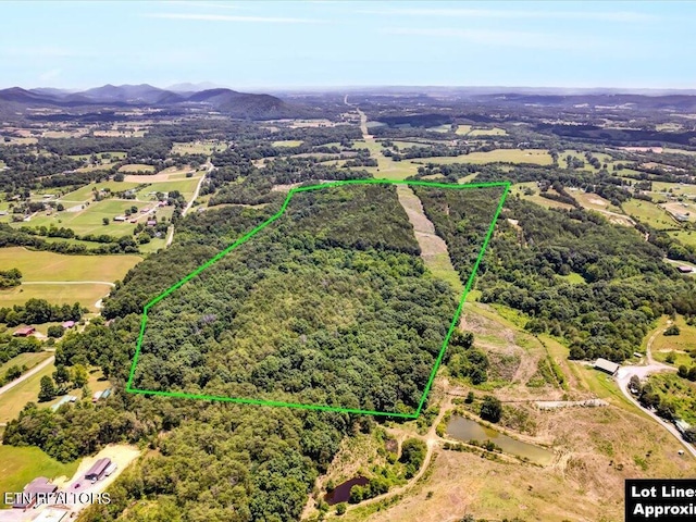 Mohawk Ridge Rd, Bulls Gap, TN 37711 - photo 5
