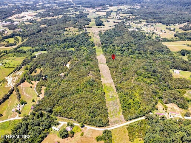 Mohawk Ridge Rd, Bulls Gap, TN 37711 - photo 6