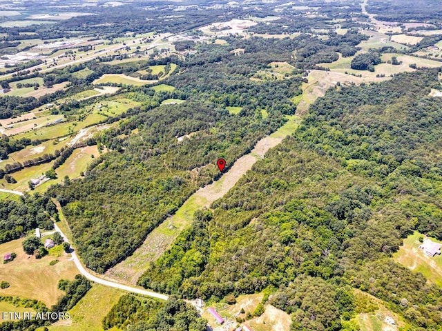 Mohawk Ridge Rd, Bulls Gap, TN 37711 - photo 11